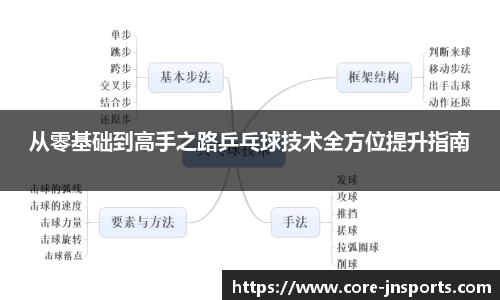 从零基础到高手之路乒乓球技术全方位提升指南